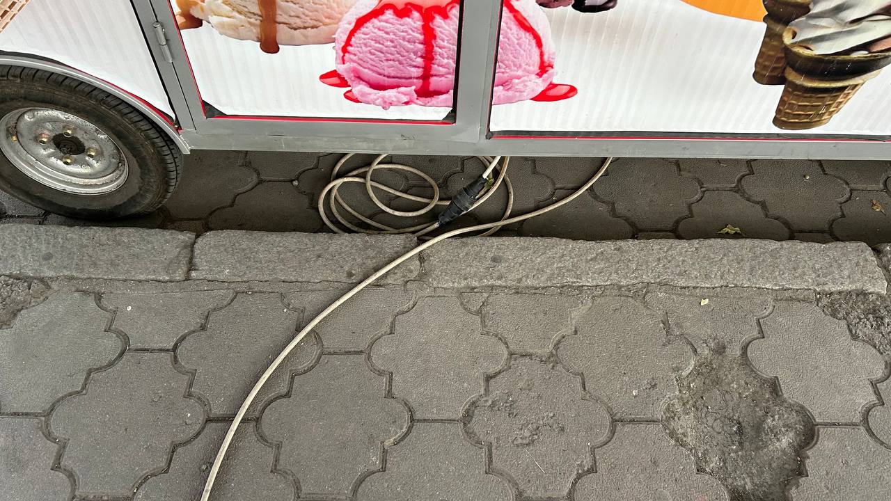 Провода в Дубовом парке и на бульваре Эркиндик