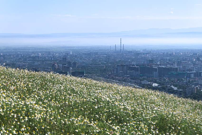 Панорама Бишкека, июль 2026 года