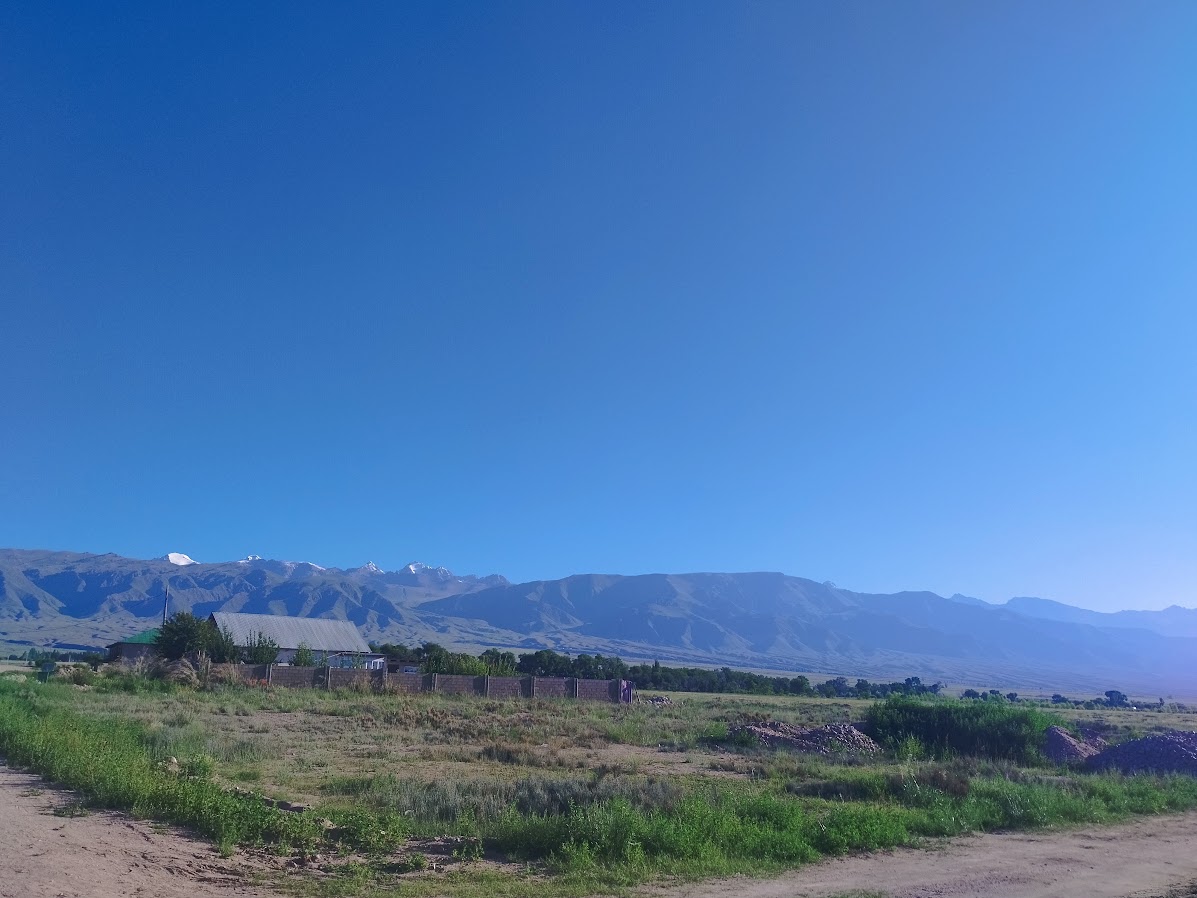 Село Тамчи, июль 2026 года