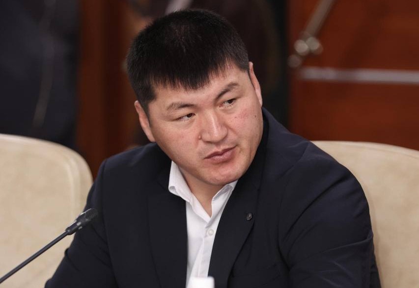 Толобай уулу Илгиз