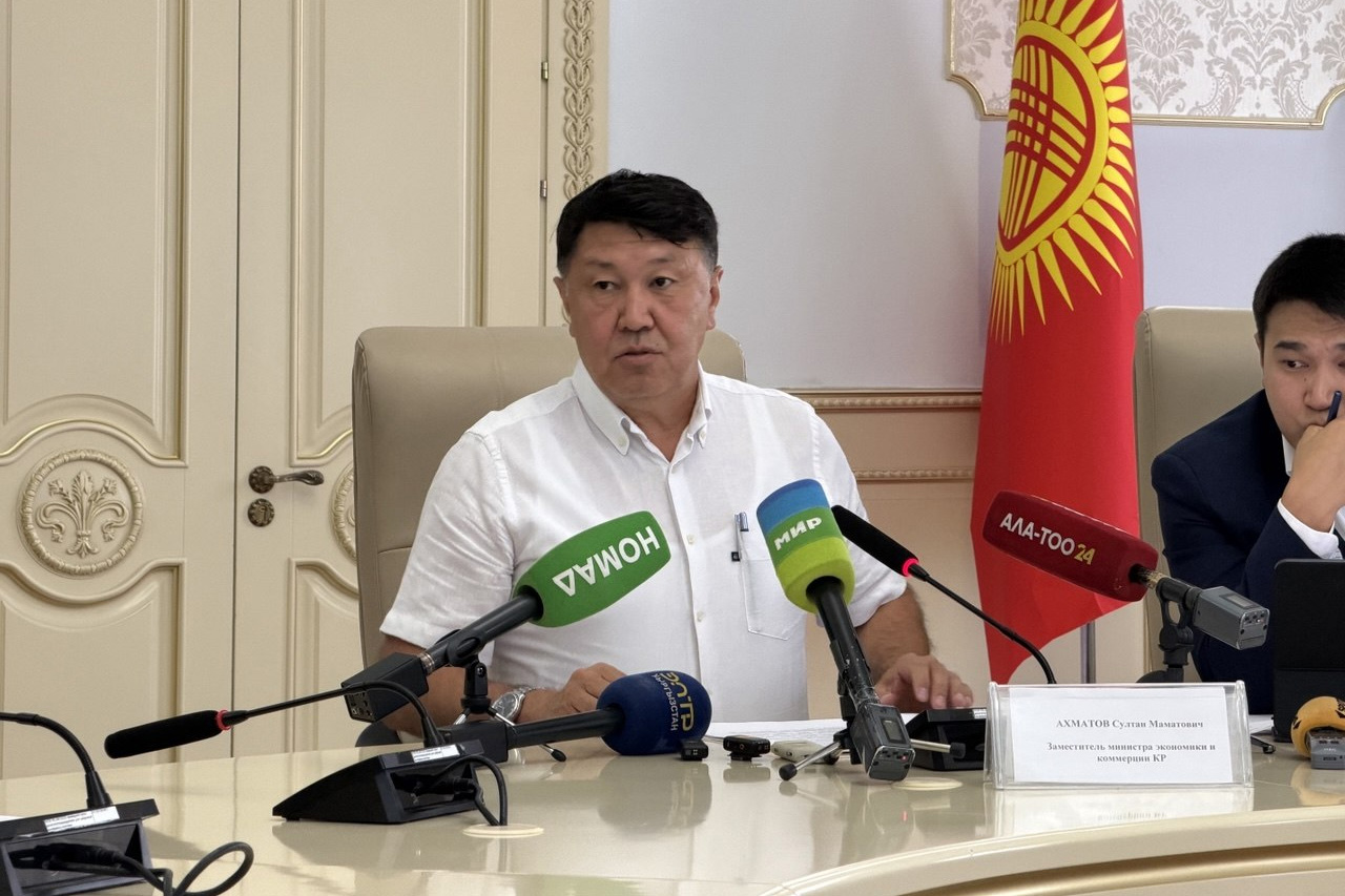 Дополнительная квота на ввоз электромобилей вступит в силу 17 августа
