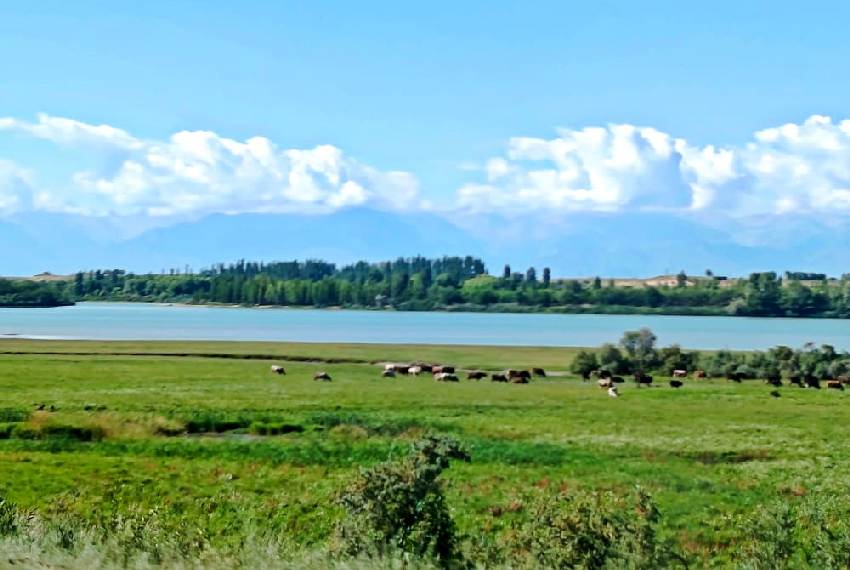 Иссык-Куль, село Кызыл-Суу