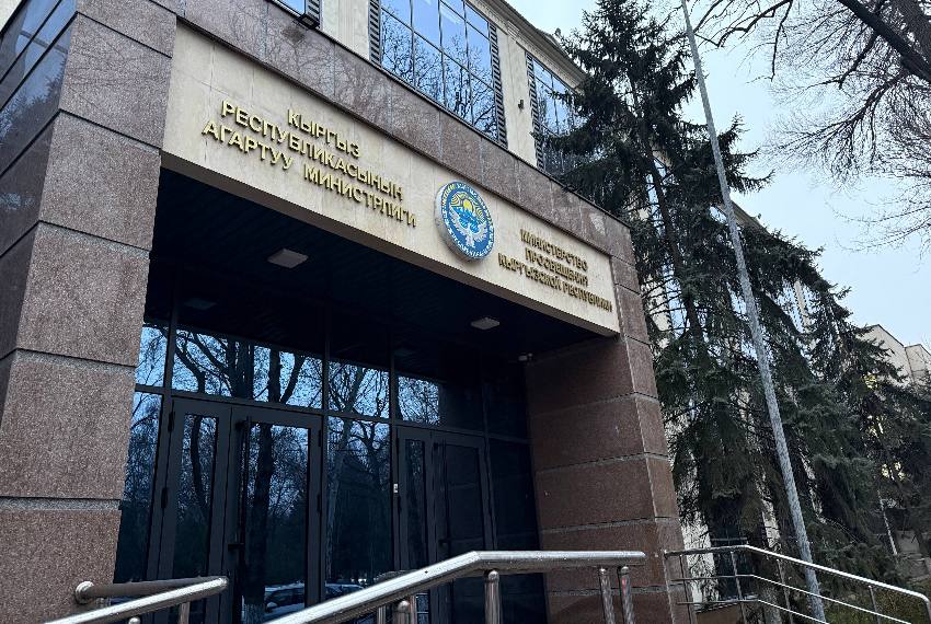 Министерство просвещения не дает передышку школьникам и постоянно что-то меняет в учебном процессе