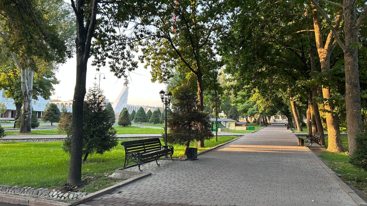 Мэру Бишкека действительно стыдно: накануне саммита ШОС из парков убрали все комки