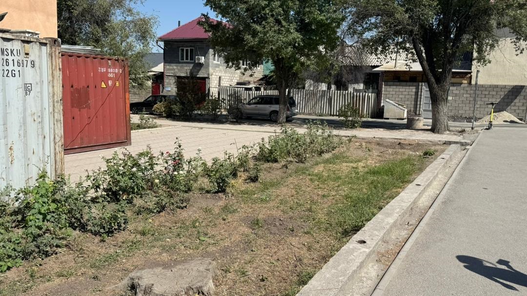 Вырубка деревьев