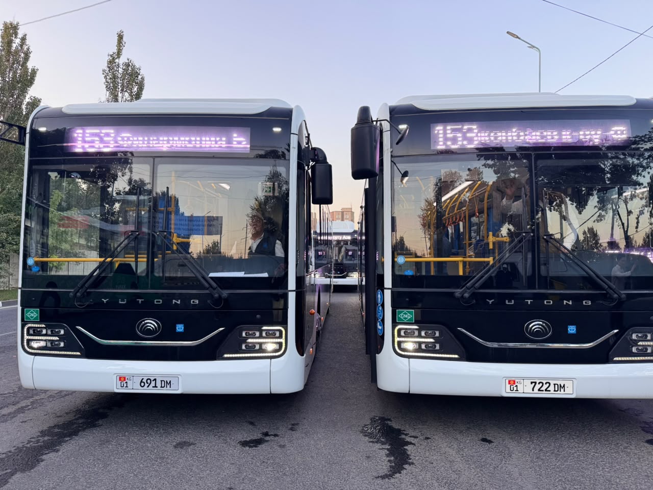 Новые автобусы YUTONG