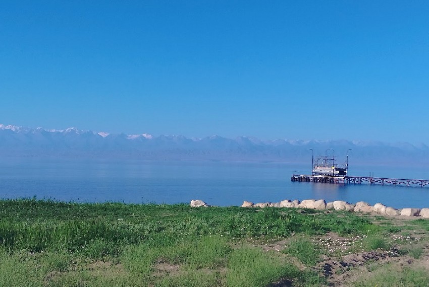 Село Тамчы, июль 2026 года