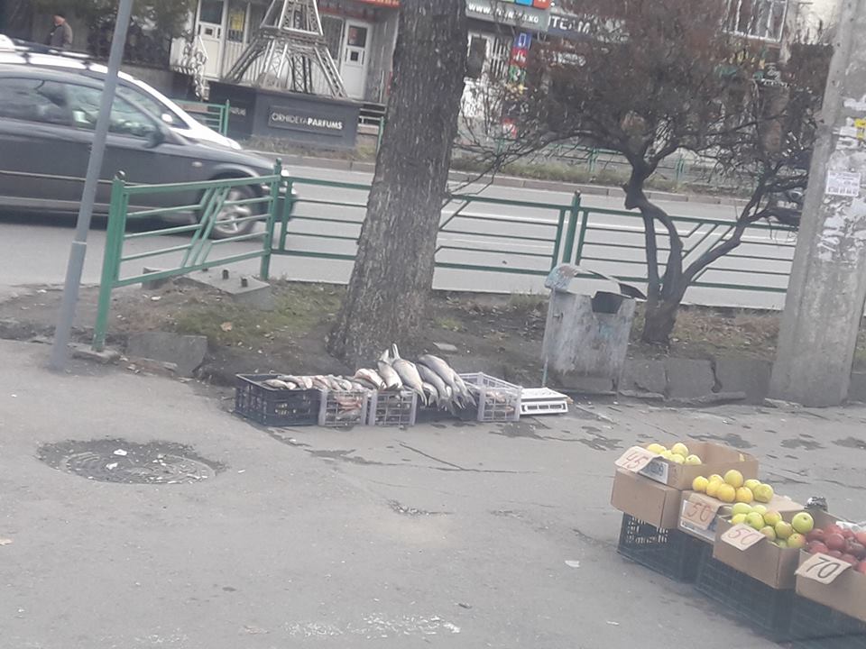 со страницы «Черный список» — нам не понравилось». Автор Элнур Келгенбай‎