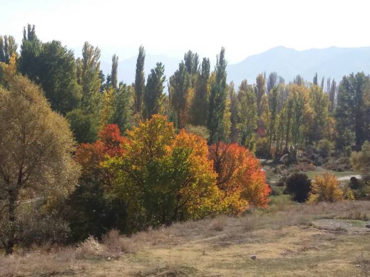 Галины Поповой. Нижняя Ала-Арча, осень