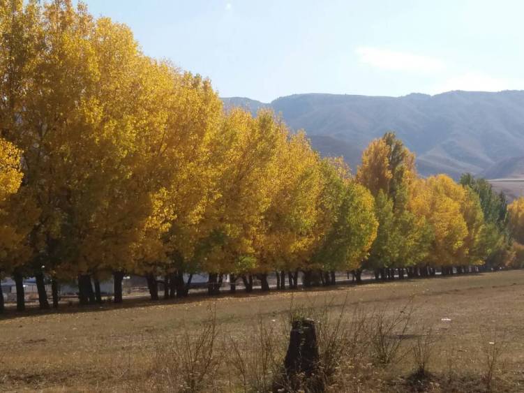 Галины Поповой. Нижняя Ала-Арча, осень