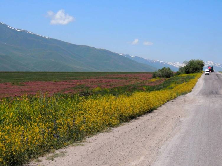 Евгения. Трасса Бишкек — Ош