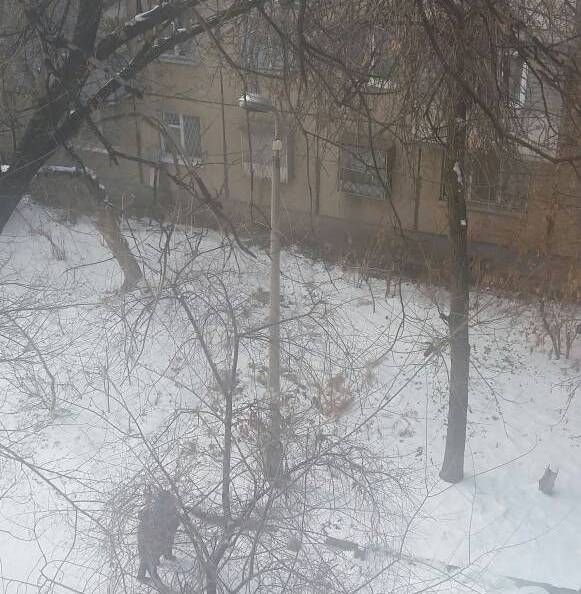читателя. Один из неработающих фонарей