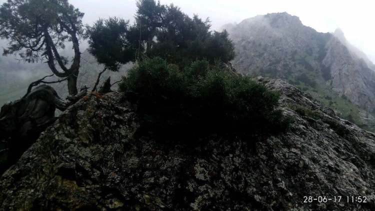 Нурлана Шананова. Карагой, Ноокатский район Ошской области