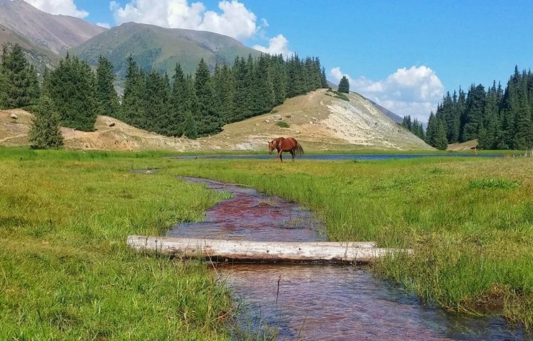 Орынбека Асилбаева. Григорьевское ущелье