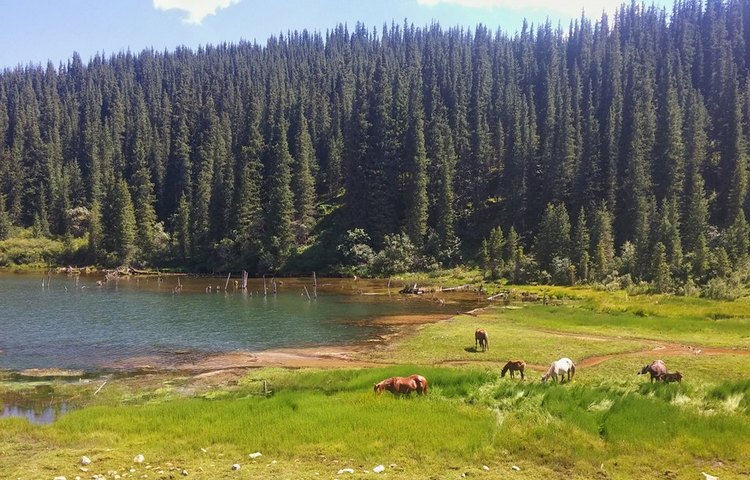 Орынбека Асилбаева. Григорьевское ущелье
