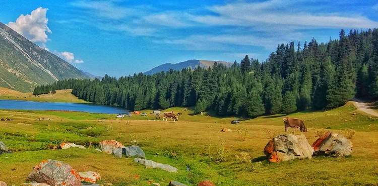 Орынбека Асилбаева. Григорьевское ущелье