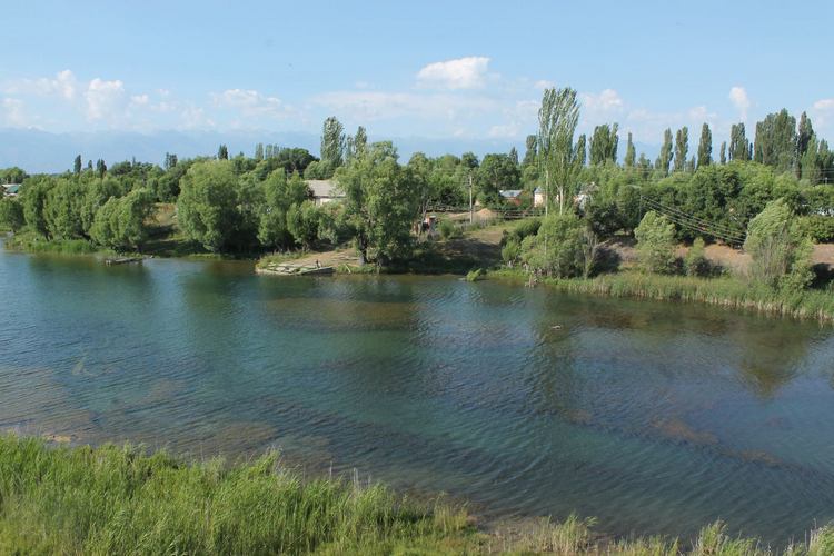 Павла Кратова. Зеленый гай, местность Кой-Сары