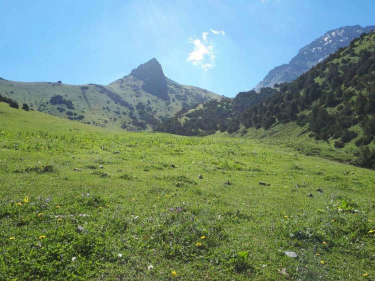 Нурлана Шананова. Карагой, Ноокат, Ошская область