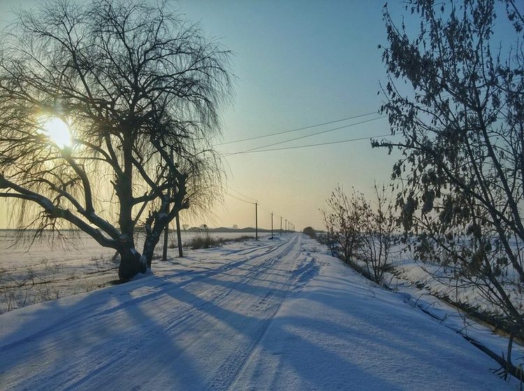 Орынбека Асилбаева. Дорога на ферму в Сокулукском районе