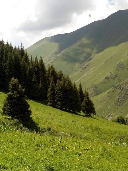 Натальи Азаровой. Ущелье Кичи-Кемин