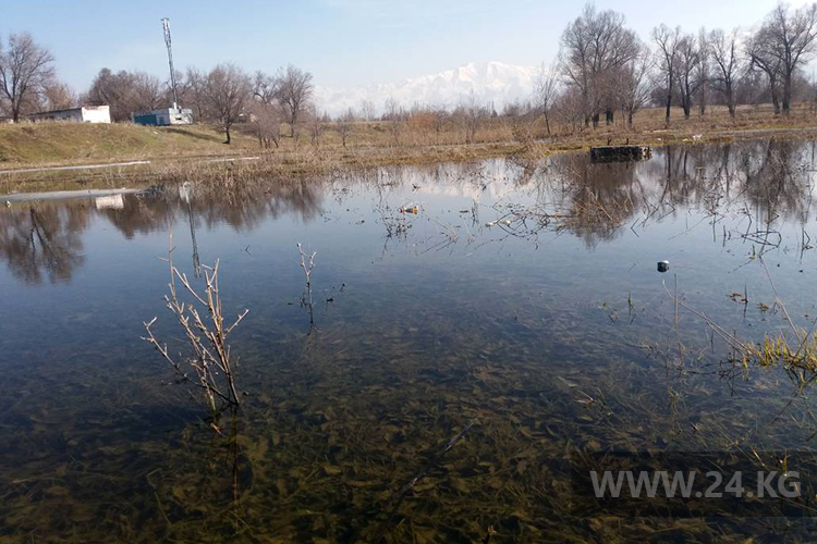 В Панфиловском районе из-за грунтовых вод может разрушиться памятник погибшим в ВОВ