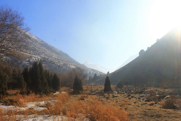 Айбека Султанова. Ущелье Беш-Коль, Таласская область