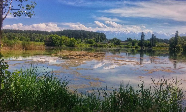 Орынбека Асилбаева. Пруд в Токмаке