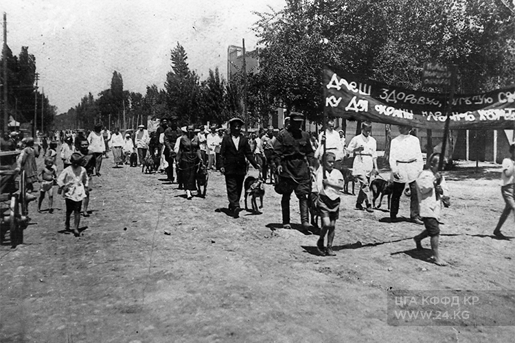 Первомайская демонстрация. В первых рядах разыскные собаки, 1934 год
