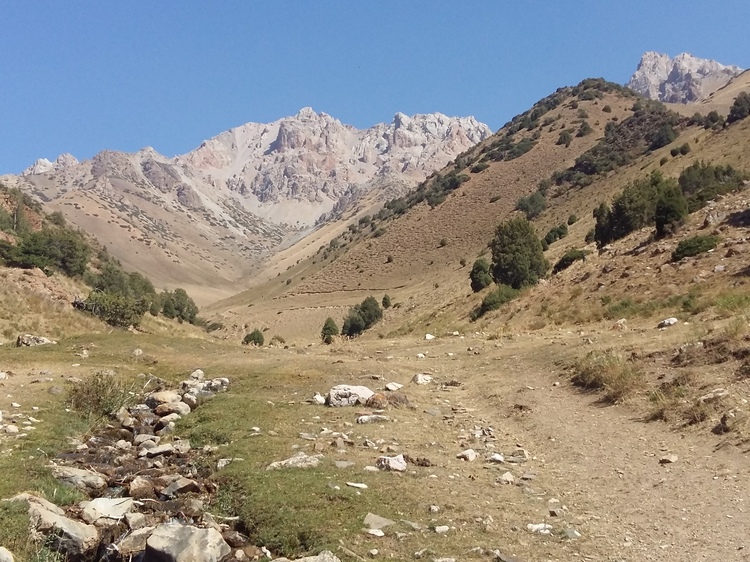 Айбека Султанова. Бакай-Атинский район Таласской области