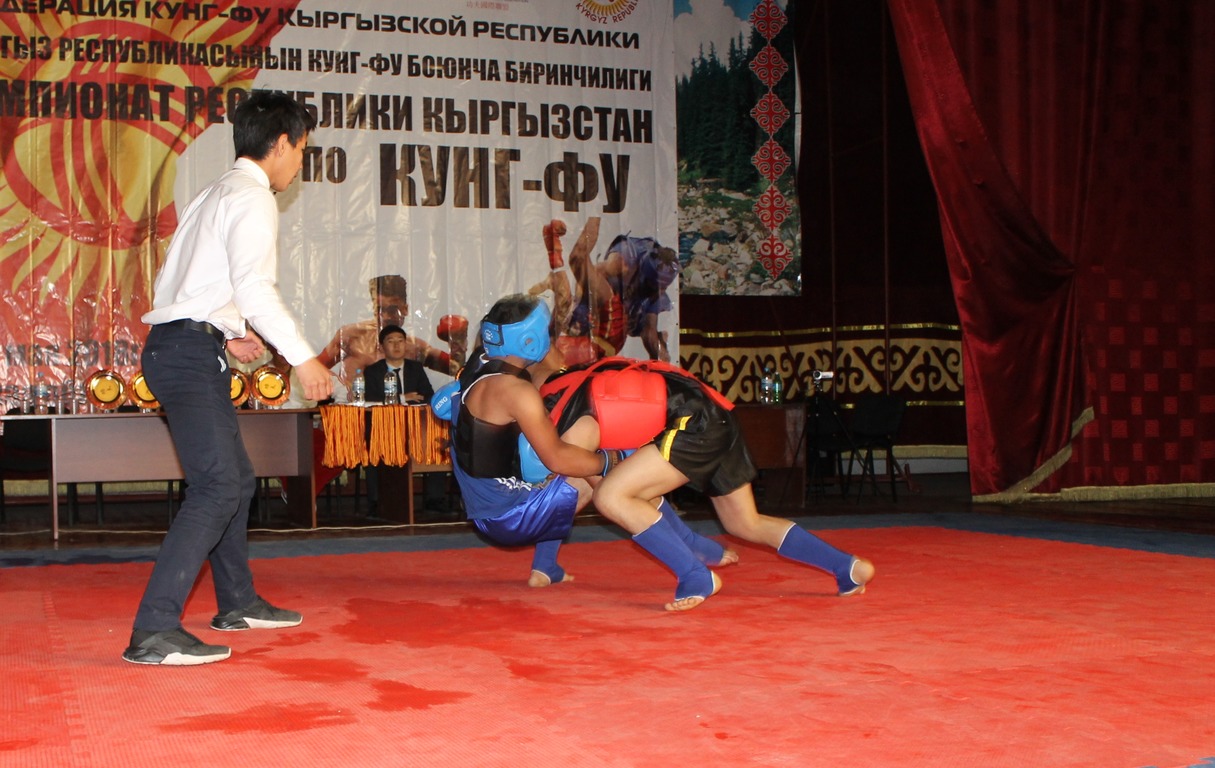 Чемпионат страны по кунг-фу