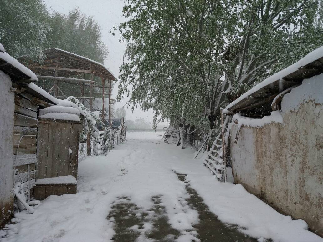 Ак-Суйский район, село Советское