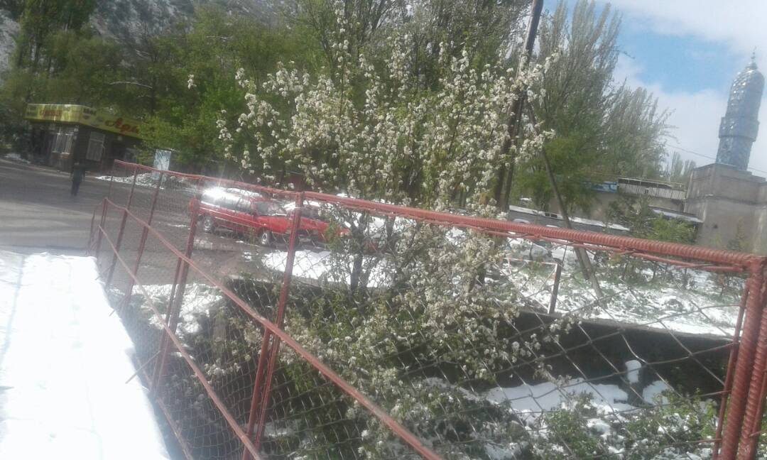 Курорт «Ысык-Ата»