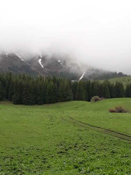Натальи Азаровой. Шамси. Ущелье Тура Каин, май 2018 года