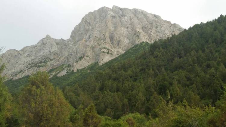 Уланбека Эшматова. Урочище Карагой, Ноокатский район