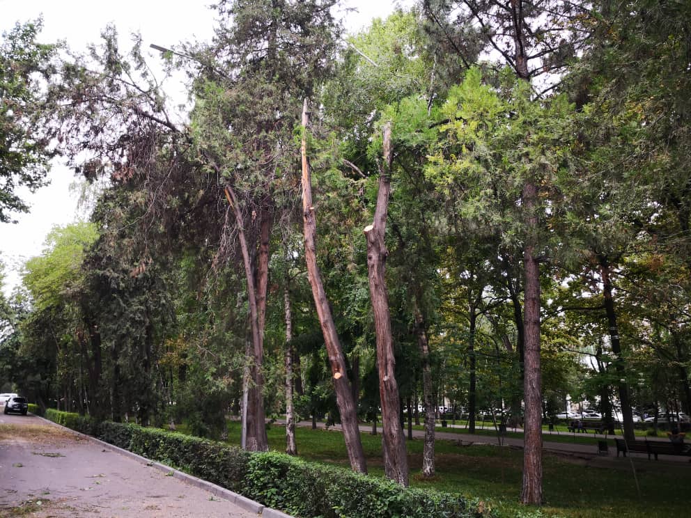Бульвар Эркиндик