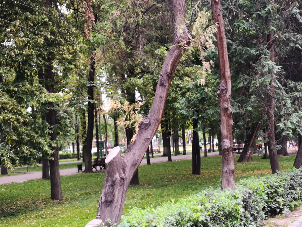 Бульвар Эркиндик