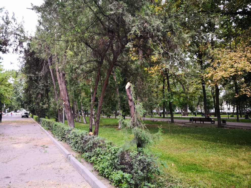 Бульвар Эркиндик