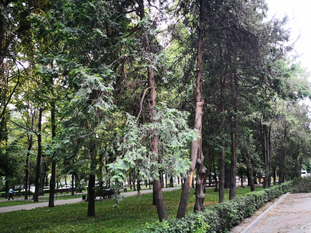 Бульвар Эркиндик