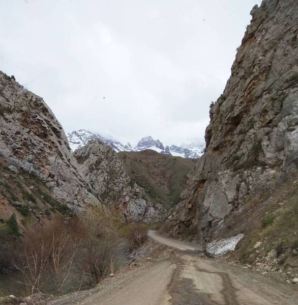 Таалая Абдраимова. Дорога в Алайкуу