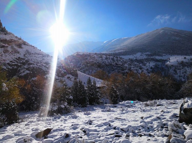 Айбека Султанова. Таласская область