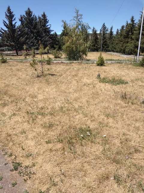 Центральный парк Каракола