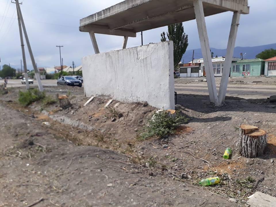 Вырубка деревьев в Балыкчи