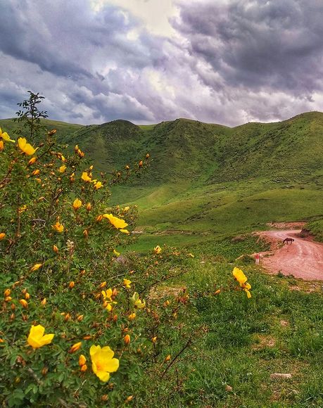 Орынбека Асилбаева. Чункурчак