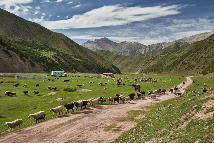 В горах Кыргызстана