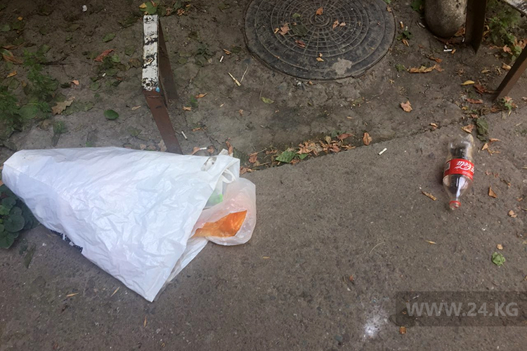 Жители 101-го дома раскидывают мусор по всем подъездам соседних многоэтажек