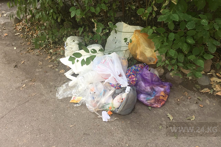 Жители 101-го дома раскидывают мусор по всем подъездам соседних многоэтажек