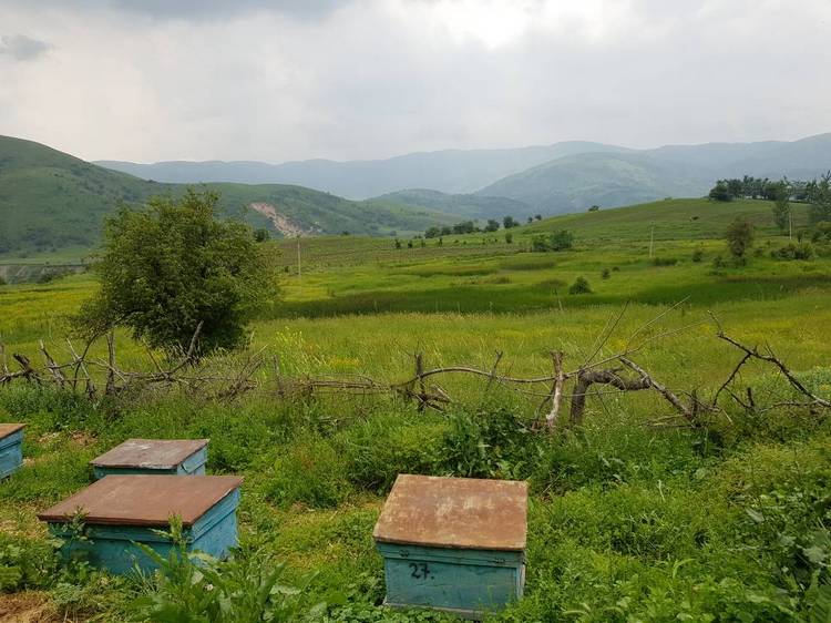 Бексултана. Село Кызыл-Суу, Сузакский район