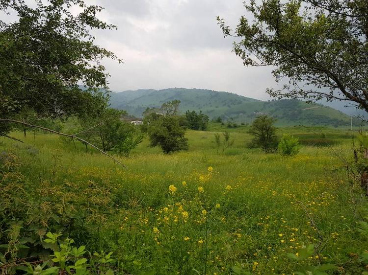Бексултана. Село Кызыл-Суу, Сузакский район