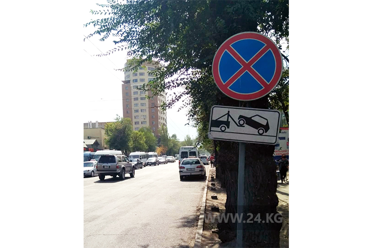 читателя. Чудаки парковки