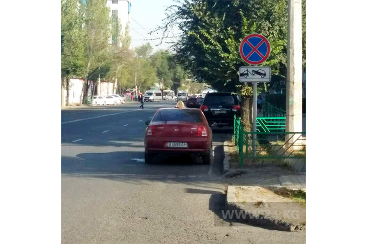 читателя. Чудаки парковки